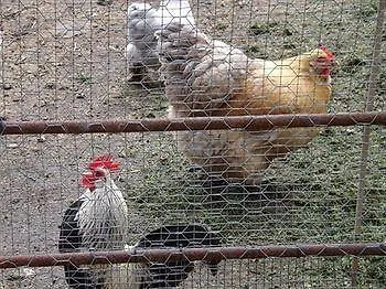 The Foulsyke 斯卡伯勒